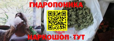 тгк Коммунар