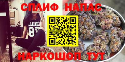 мдпв Кинель