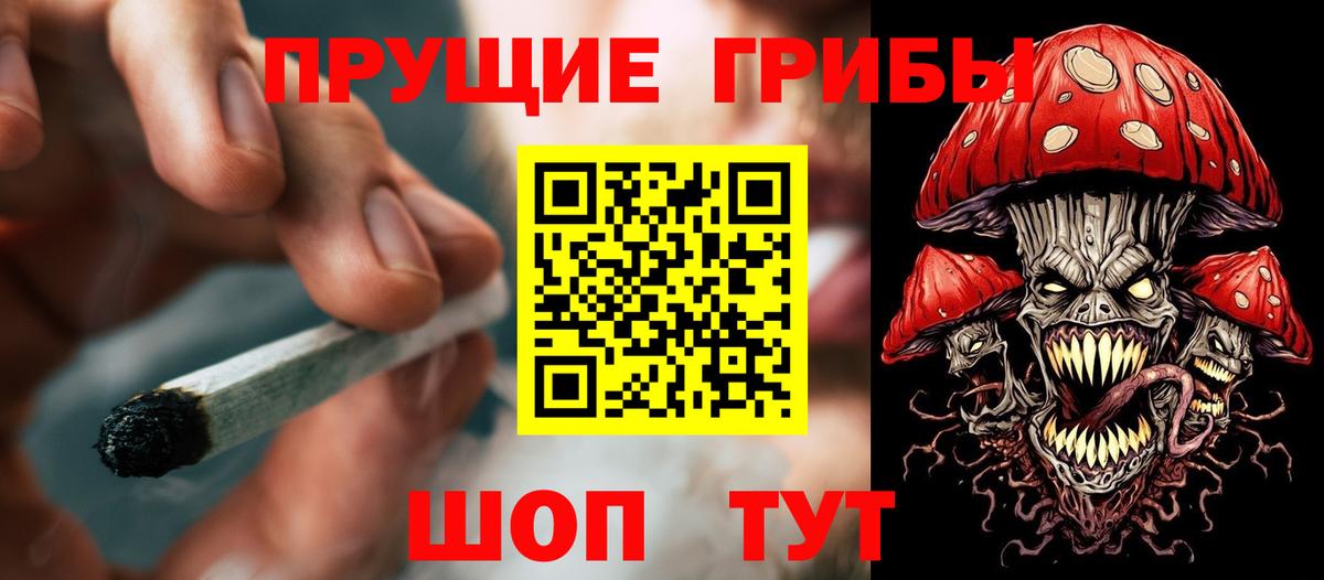 Красноярск  Псилоцибиновые грибы мицелий  Вход с VPN 